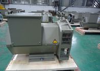 16kw/20kva 3 альтернатора участка электрических для тепловозного комплекта генератора Stamford печатают на машинке
