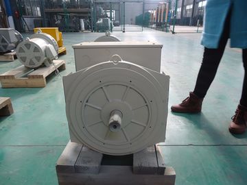 Купить 110V | одновременный безщеточный двойной альтернатор 40kw/50kva подшипника 690V online manufacture