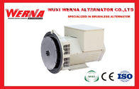 25KW 31KVA определяют носить трехфазный генератор AVR 50Hz AC безщеточный