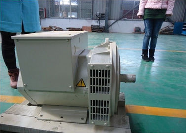 собственная личность генератора AC одиночной фазы 80kw 80kva Effeciency возбудила альтернатор