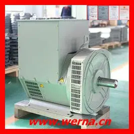 Изоляционный класс H Номинальное напряжение 220V однофазный генератор переменного тока